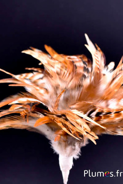 Plumet coq  avec anneau -  hauteur 13 cm - naturel